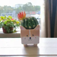 arthome-tanaman-artifisial-sukulen-dengan-pot-anima-corgi