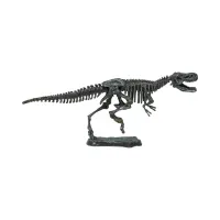 kiddy-star-figure-dinosaur-t-rex-fossil-dig-toy