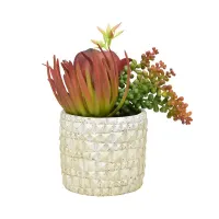 arthome-23-cm-tanaman-artifisial-sukulen-red-pot-dengan-pot