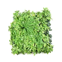 rumput-artifisial-wall-thaliana---hijau