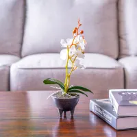 arthome-32-cm-bunga-artifisial-orchid-caluna---putih