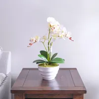 bunga-artifisial-anggrek-phalaenopsis---putih