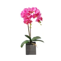 arthome-bunga-artifisial-orchid-2-stem-dengan-pot---pink-fuschia