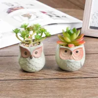 arthome-set-2-pcs-tanaman-artifisial-sukulen-owl---hijau