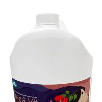 pet-kingdom-3.8-ltr-sampo-hewan-peliharaan-moisturize-rose-vit-e