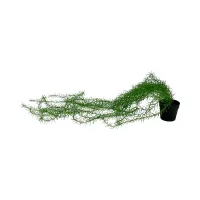 arthome-80-cm-tanaman-artifisial-garland-airplant