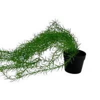 arthome-80-cm-tanaman-artifisial-garland-airplant