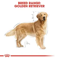 royal-canin-3-kg-makanan-anjing-kering-adult-golden-retriever