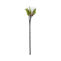 informa-65-cm-tanaman-artifisial-protea-stem---krem