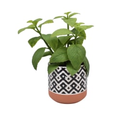 arthome-22-cm-tanaman-artifisial-pot-inca