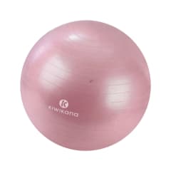 alph-65-cm-bola-fitness---pink