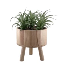 arthome-tanaman-artifisial-airplant-in-shaw-tripot