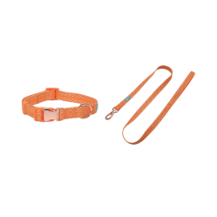 pet-kingdom-coolpet-set-tali-anjing-small---orange