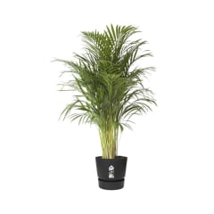 elho-pot-tanaman-greenville-47-cm---hitam