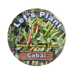 let's-plant-benih-cabai