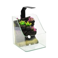 fishland-16-ltr-aquarium-mini-paludarium