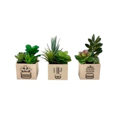 arthome-tanaman-artifisial-succulent-dengan-light-set-d-in-shaw-pot