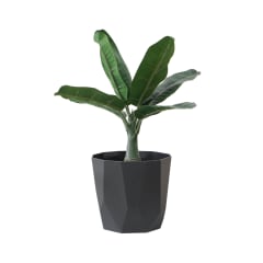 elho-b.for-rock-pot-tanaman-18-cm---hitam