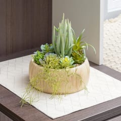 arthome-tanaman-artifisial-succulent-mix-e-in-shaw-pot