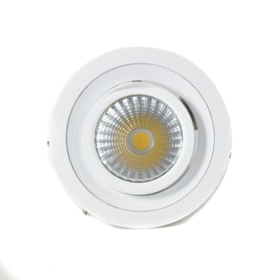 Gambar Lampu Downlight Led Adjustable 15w 38d 3000k - Warm White