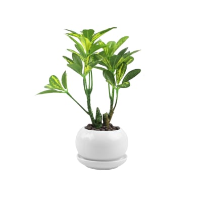 Gambar Tanaman Artifisial Schefflera Dengan Pot 24 Cm