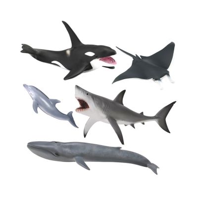 Gambar Collecta Set 5 Pcs Figure Sea Life 84072