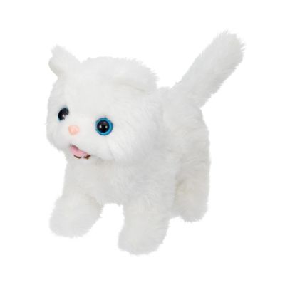 Gambar Iwaya Boneka Plush Baby Persian Cat 3127-2