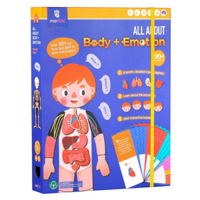 Gambar Mieredu Magnetic Puzzle All About Body And Emotions