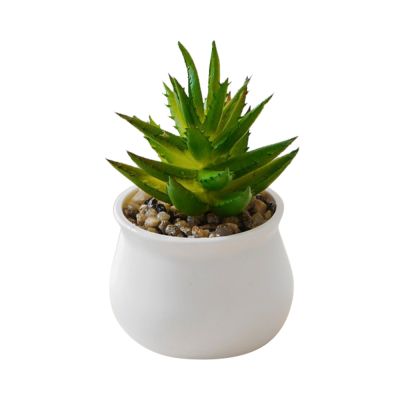 Gambar Ataru Tanaman Artifisial Aloevera Dengan Pot Round - Putih