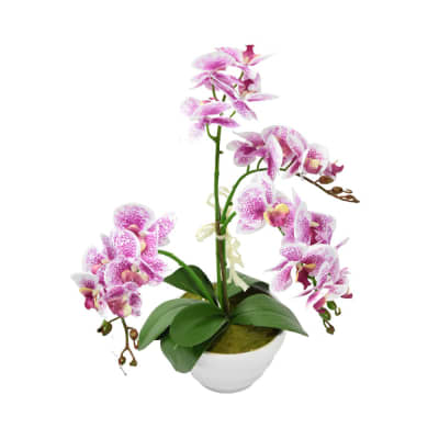 Gambar Bunga Artifisial Anggrek Phalaenopsis - Putih/ungu