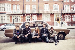 Marmozets