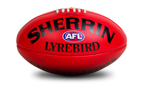 Size 2 Training Ball
