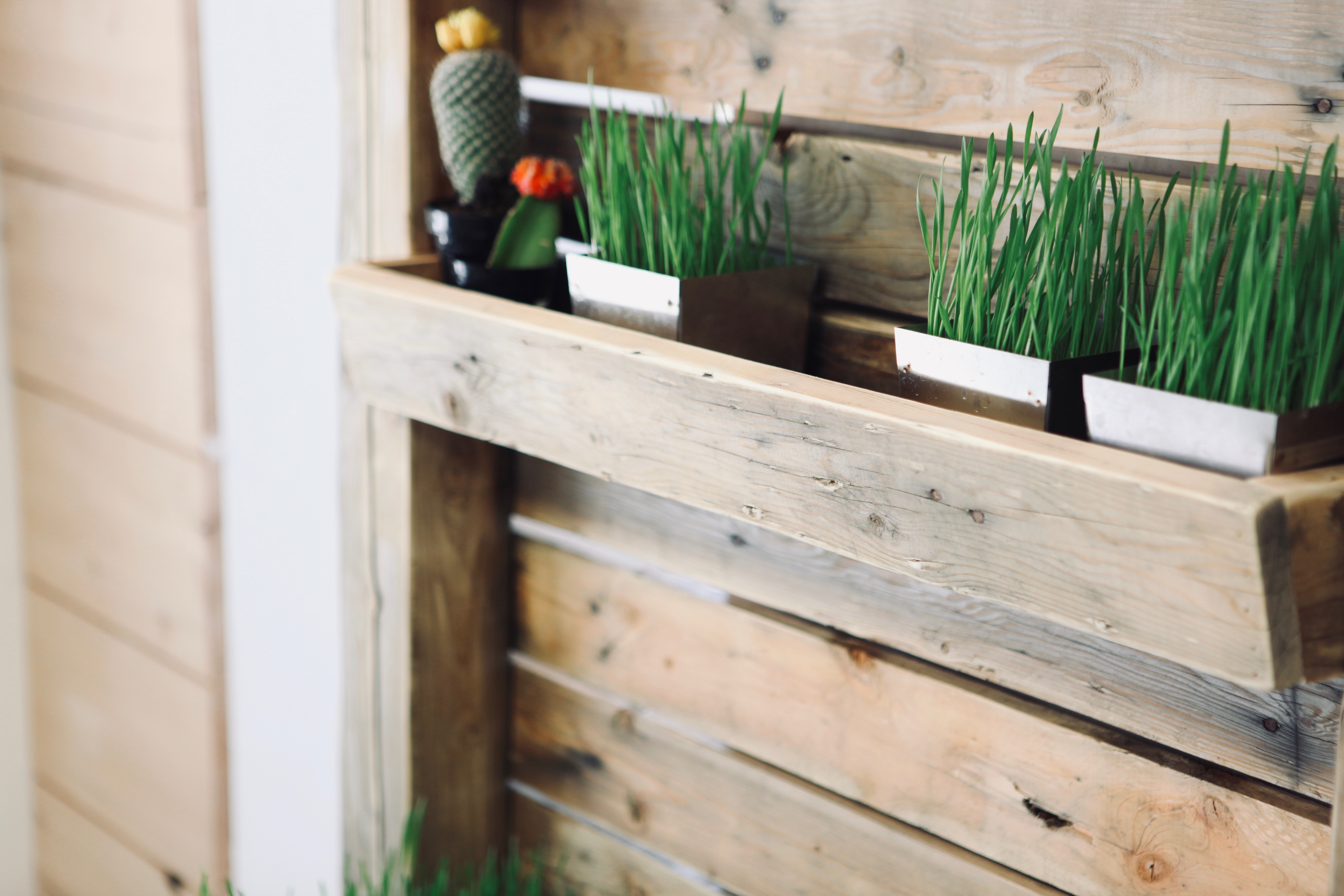 Practicing Sustainable Sourcing to Preserve the Inspiring Beauty of the Earth