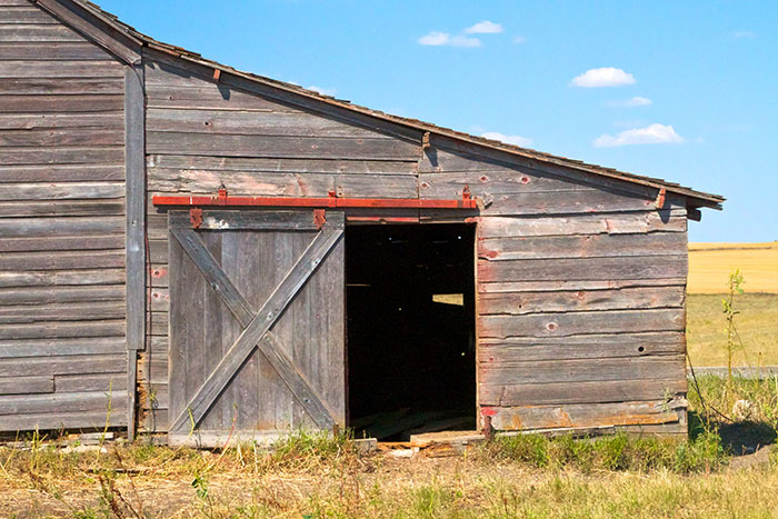 Everything You Need To Know About Barn Doors Rustica