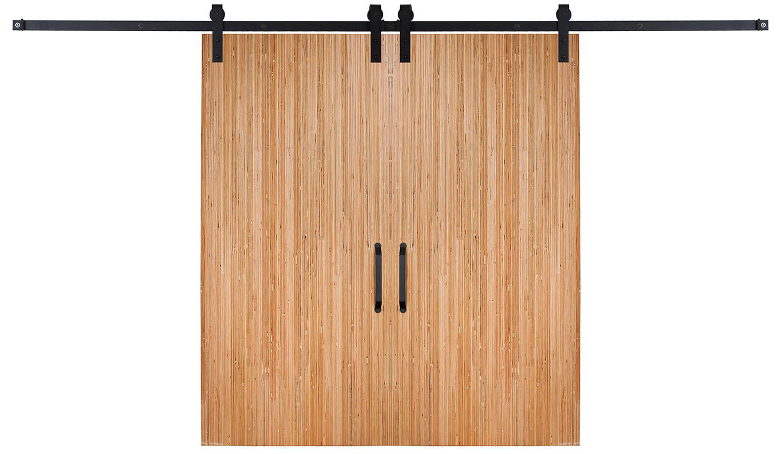 Bryce Double Barn Door