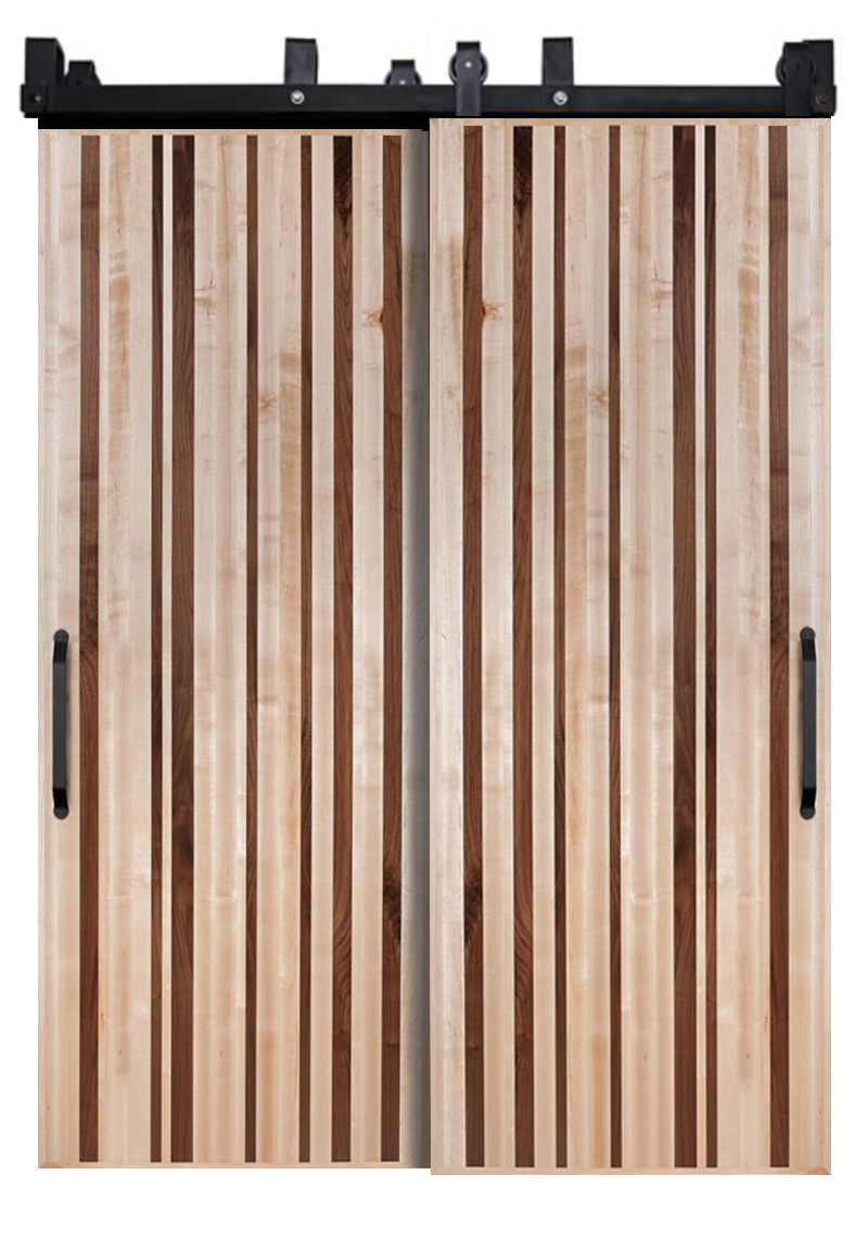 Modern Slab Bypassing Barn Doors