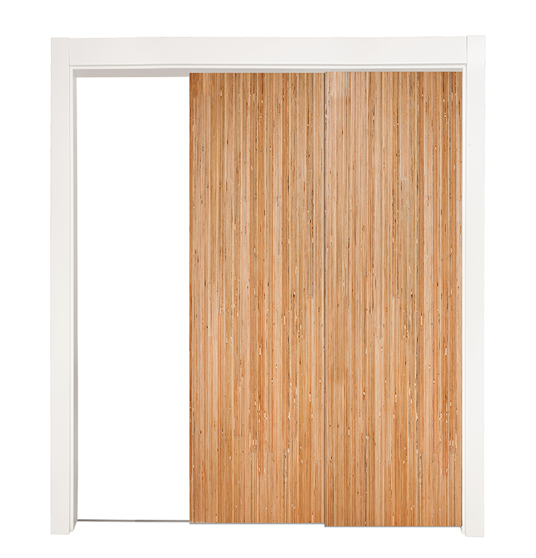 Bryce Bypassing Pocket Doors