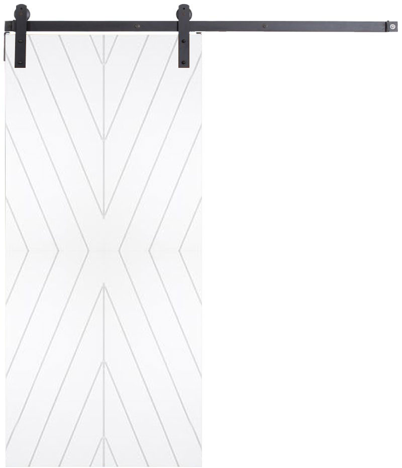 Aries Barn Door