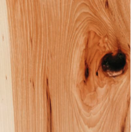 sample of hickory wood