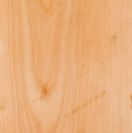 sample of birch wood