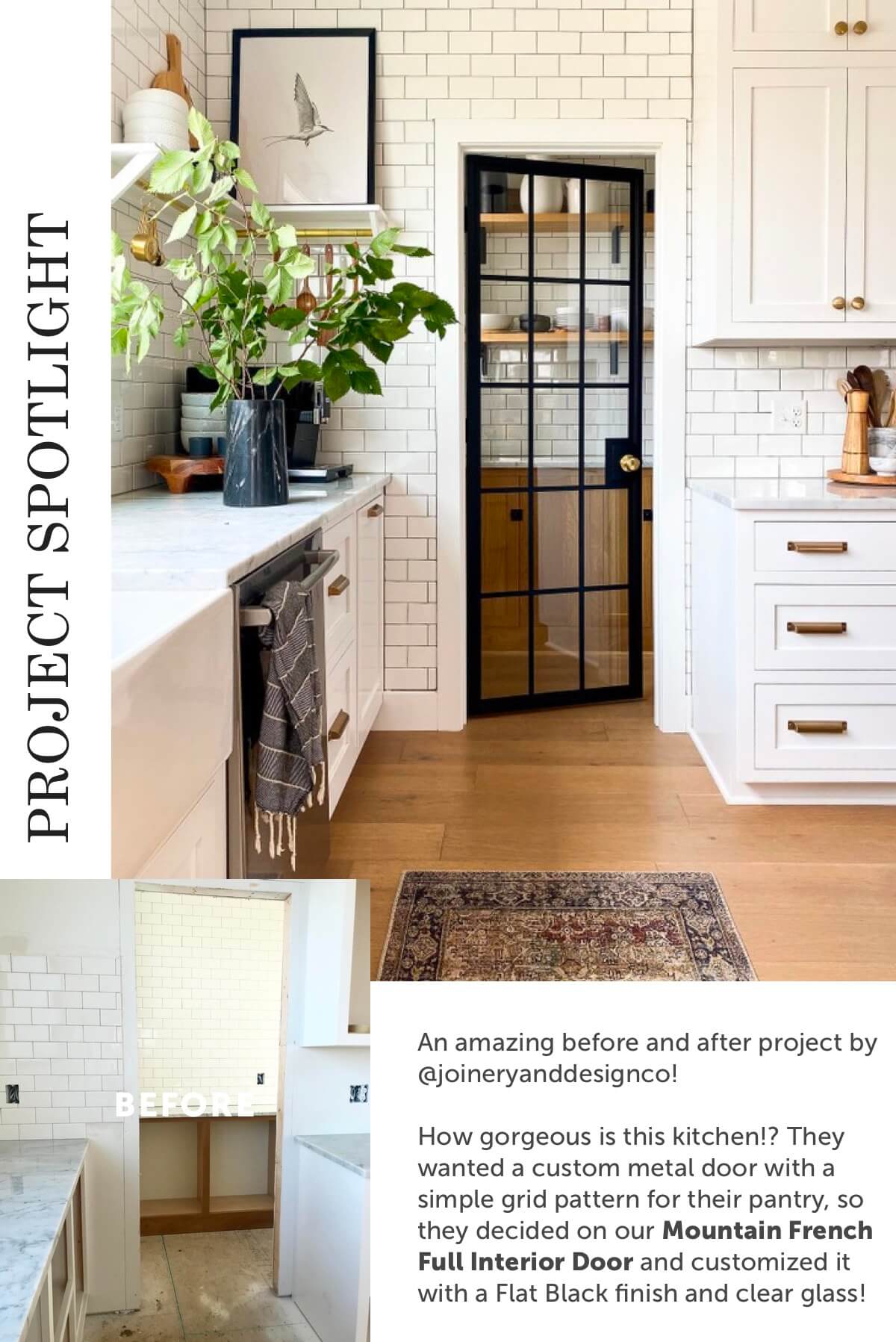 Project Spotlight