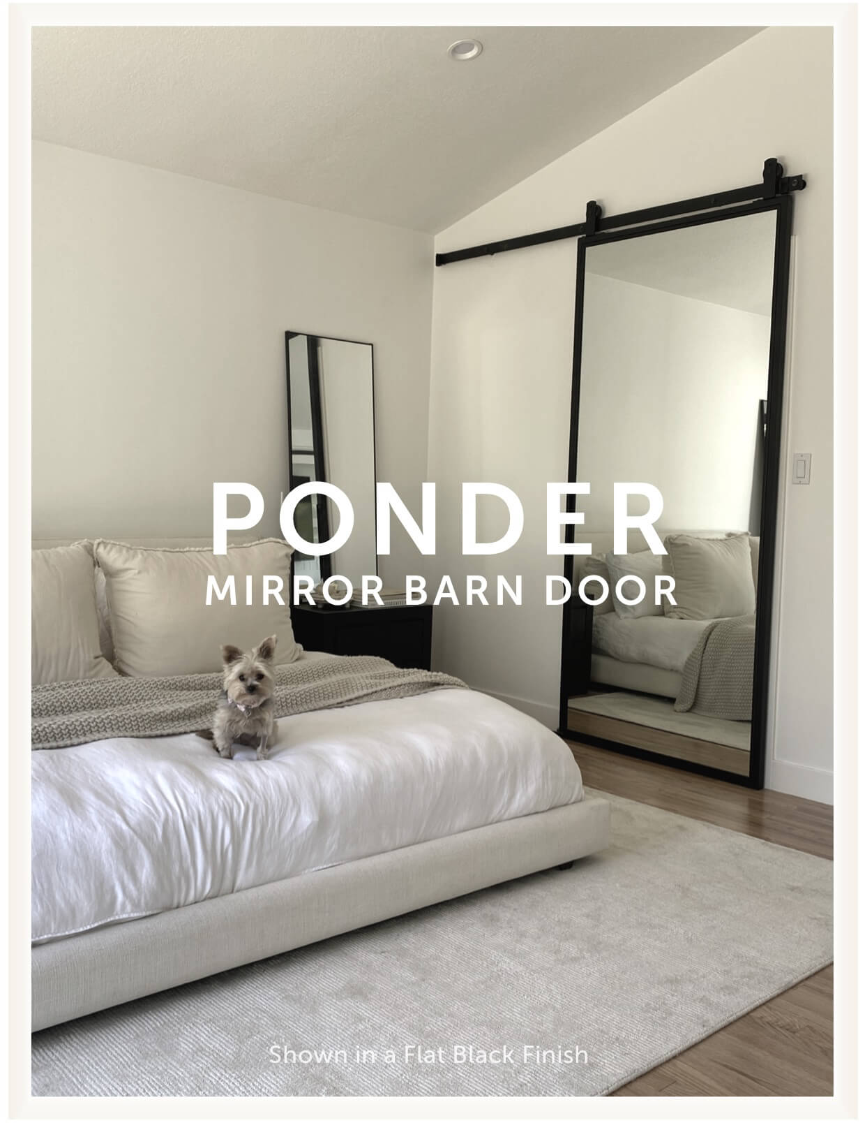 Ponder Mirror Door