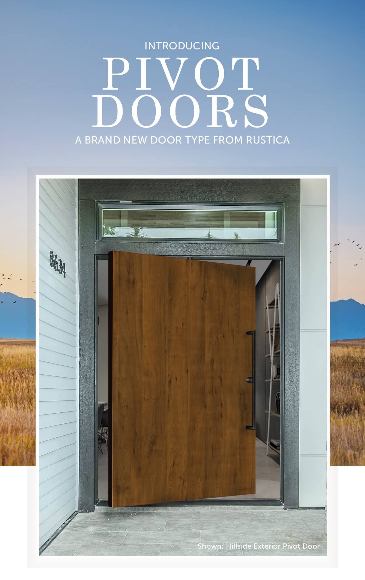 Pivot Doors