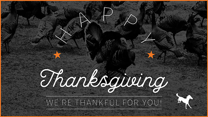 We Are Thankful For You! 