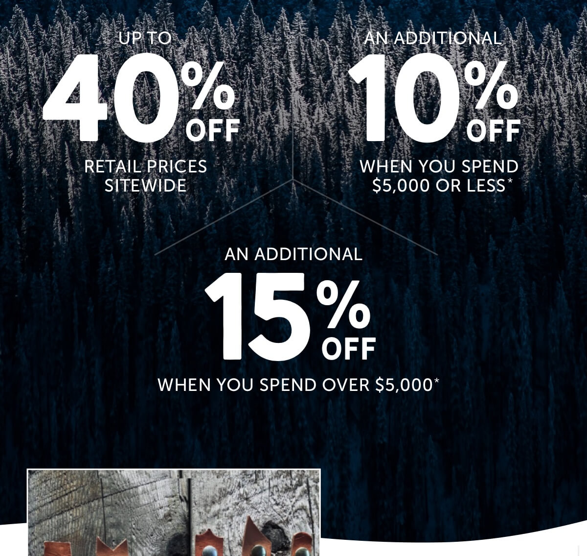 Black Friday Sale