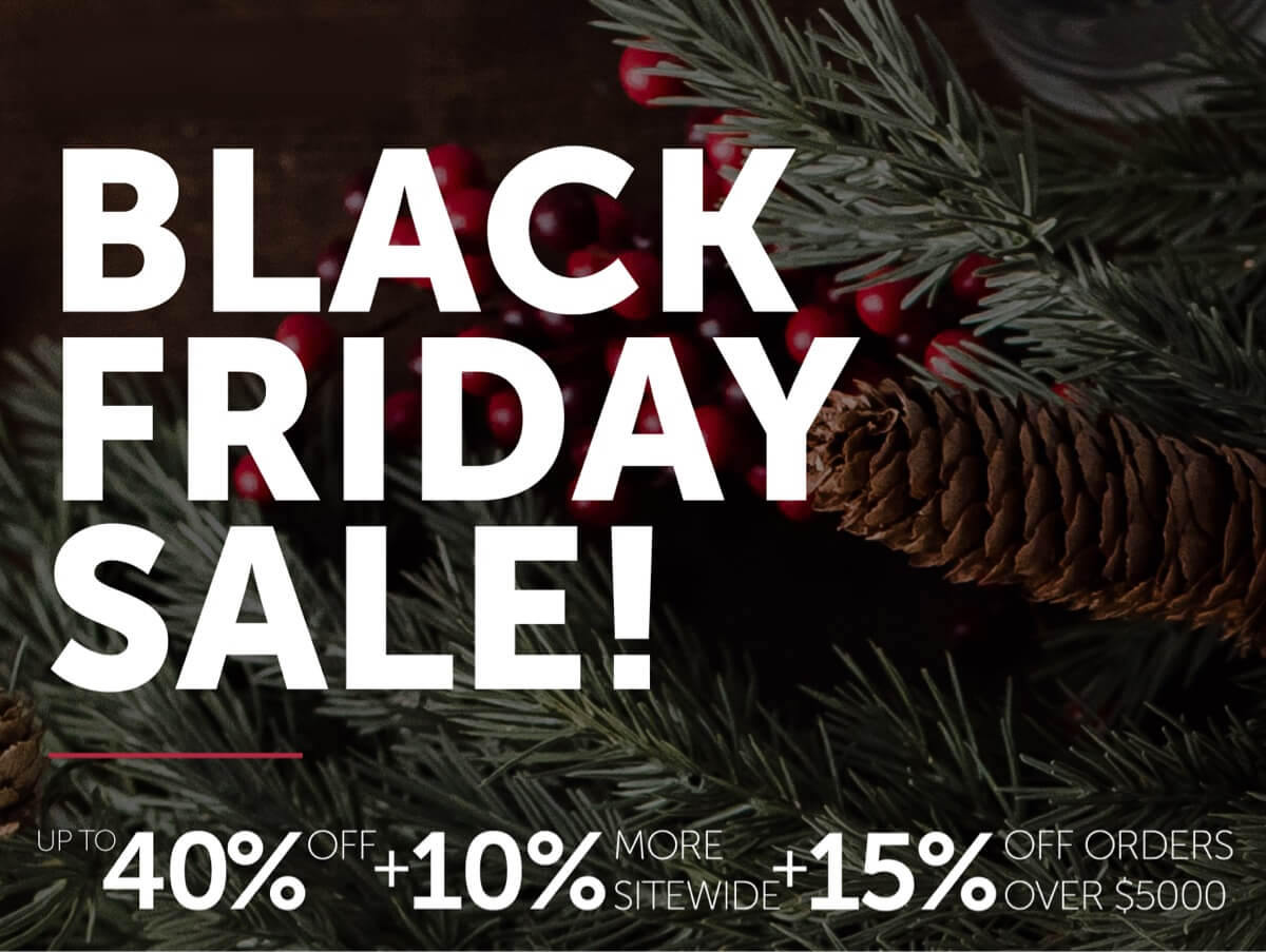 Black Friday Sale