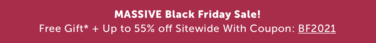 Black Friday Sale