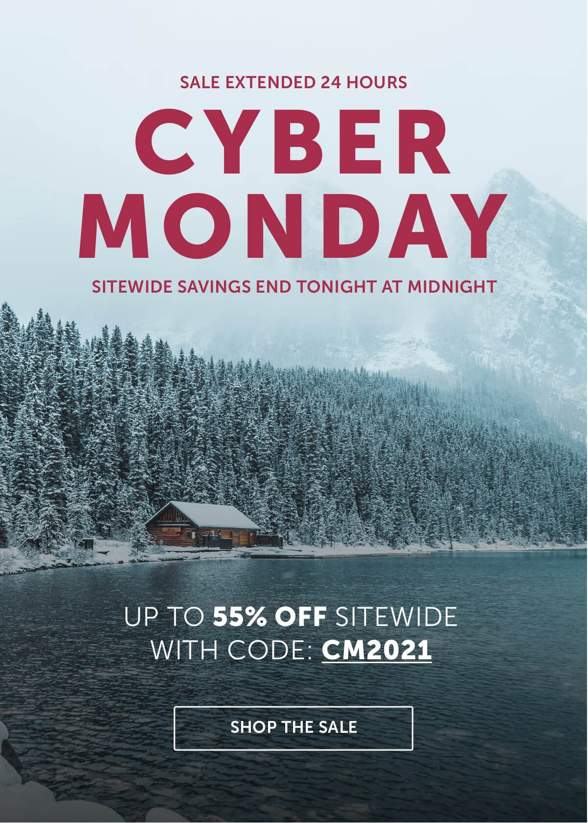 Cyber Monday Sale