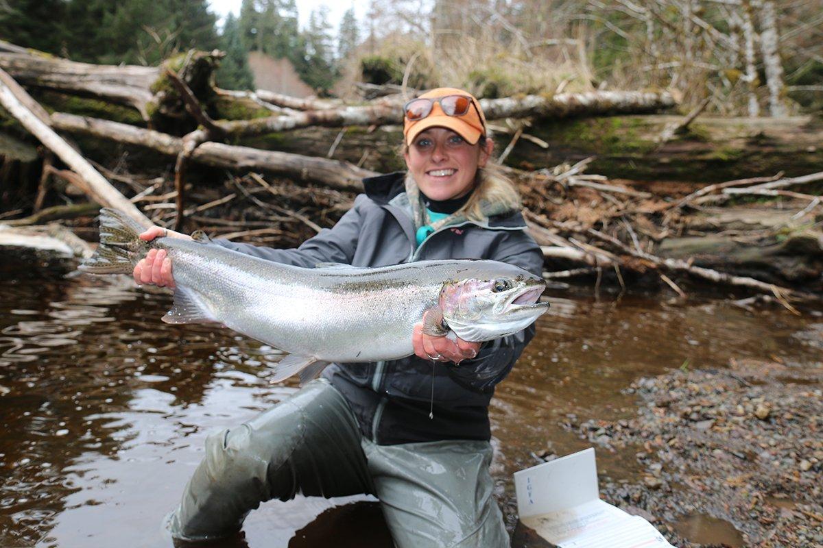Alaska Steelhead Fact Sheet