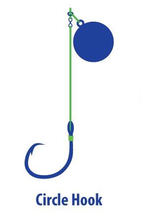 Illustration of Alaska Halibut fishing rig with circle hook tackle